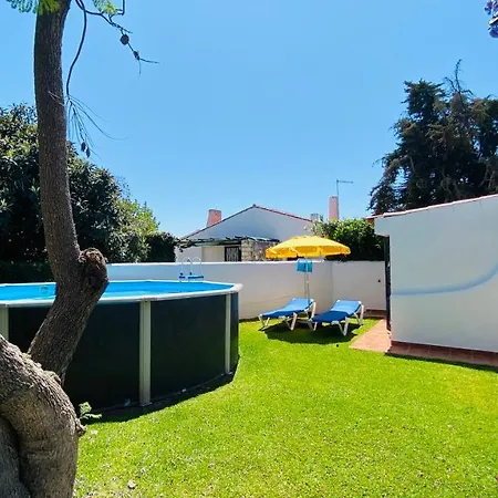 Jacaranda Ii Cip *